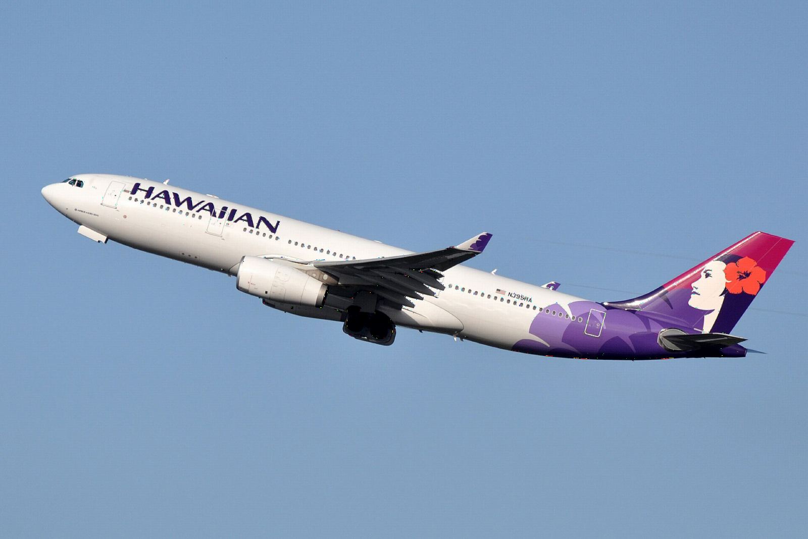 Hawaiian Airlines Airbus A330 climbing with the Pualani figure on its purple tail